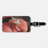 Étiquette À Bagage Flamant rose chilien, Phoenicopterus chilensis (Devant horizontal)