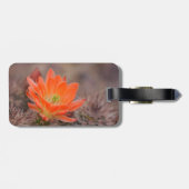 Étiquette À Bagage Fleur de cactus orange (Dos horizontal)
