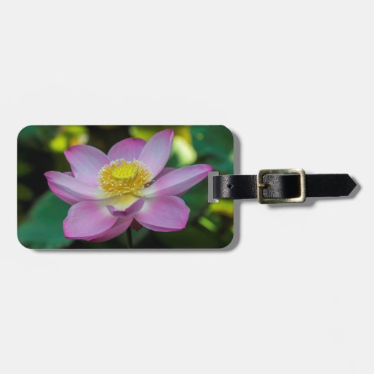 Étiquette À Bagage Fleur de lotus en fleurs, Indonésie (Devant horizontal)