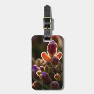 Étiquette À Bagage Fleur de succulente colorée en contre-jour avec bo