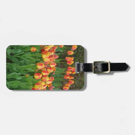 Étiquette À Bagage Fleur de tulipe rouge et jaune (Devant horizontal)