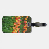 Étiquette À Bagage Fleur de tulipe rouge et jaune (Dos horizontal)