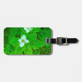 Étiquette À Bagage Fleur sauvage blanc Bunchberry Abstrait (Devant horizontal)