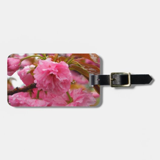 Étiquette À Bagage Fleurs de fleurs de cerisier rose chaud (Devant horizontal)