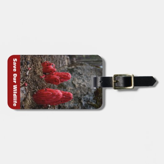 Étiquette À Bagage Fleurs de neige (Devant horizontal)