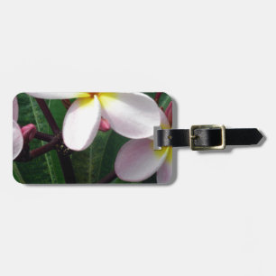 Étiquette À Bagage Fleurs de Plumeria hawaïenne