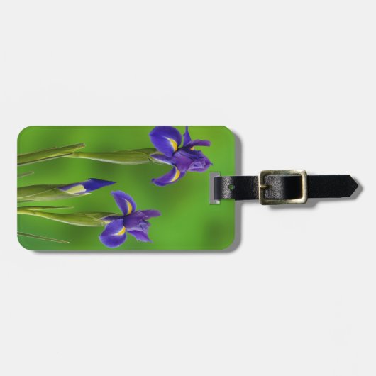 Étiquette À Bagage Fleurs d'Iris (Devant horizontal)