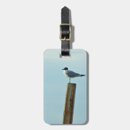 Étiquette À Bagage Florida Laughing Gull Easy ID Personnel (Devant Vertical)