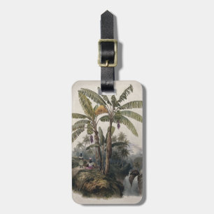 Étiquette À Bagage Forêt de bananiers tropicaux antiques Bota vinta