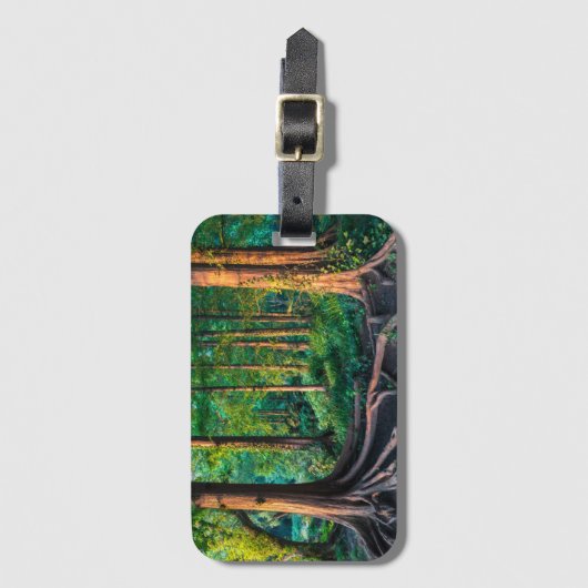 Étiquette À Bagage Forêt en été (Devant Vertical)