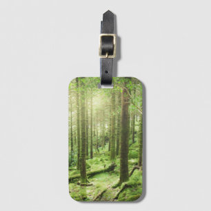 Étiquette À Bagage Forêt en parc national Kerry, Irlande de
