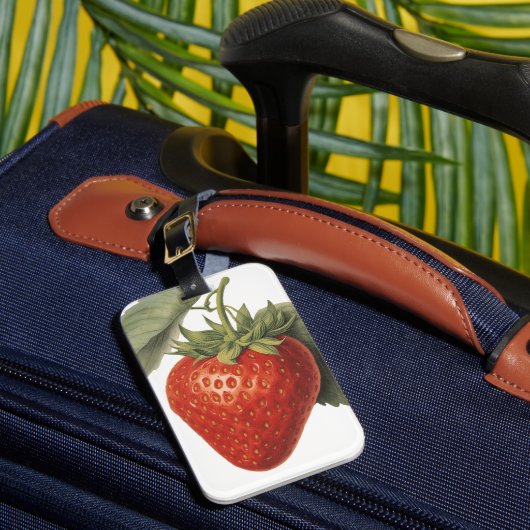 Étiquette À Bagage Fraise vintage (Insitu Rectoal 1)