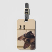 Étiquette À Bagage Französische Bulldogge (Devant Vertical)