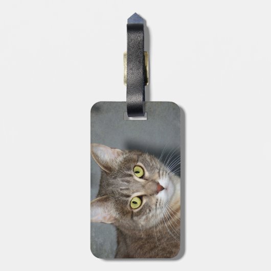 Étiquette À Bagage Fred (Dos Vertical)