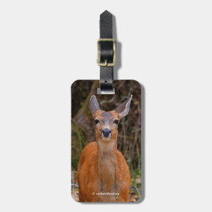 Étiquette À Bagage Funny Young Blacktail Deer sourit à un photographe