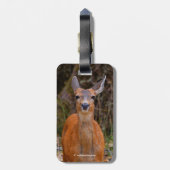 Étiquette À Bagage Funny Young Blacktail Deer sourit à un photographe (Dos Vertical)