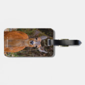 Étiquette À Bagage Funny Young Blacktail Deer sourit à un photographe (Dos horizontal)