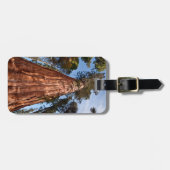 Étiquette À Bagage Géant Séquoia S'élève (Devant horizontal)