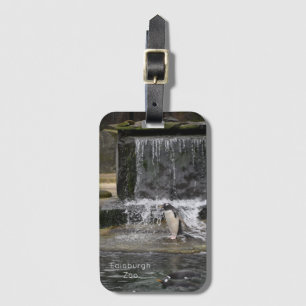 Étiquette À Bagage Gentoo Penguin & Friends Edinburgh Zoo Écosse