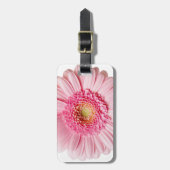 Étiquette À Bagage Gerbera Rose Daisy (Devant Vertical)