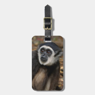 Étiquette À Bagage Gibbon à mains blanches (Hylobates Lar), Monkeylan