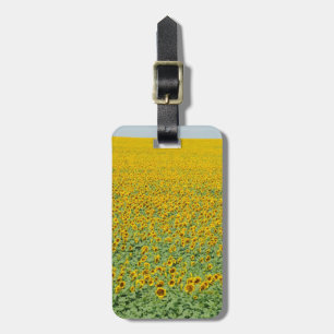 Étiquette À Bagage Gisement jaune de tournesol