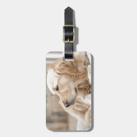 Étiquette À Bagage Golden Retriever (Devant Vertical)