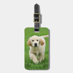 Étiquette À Bagage Golden retriever