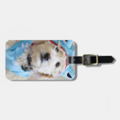 Étiquette À Bagage Goldendoodle En Costume De Requin (Devant horizontal)