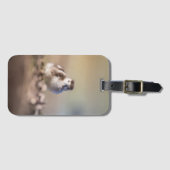 Étiquette À Bagage Goose Chick Nature Photo (Devant Horizontal)