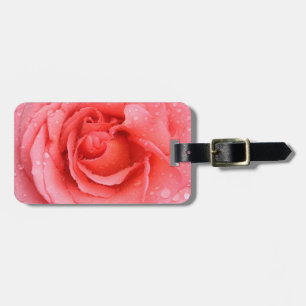 Étiquette À Bagage Gouttes d'Eau de Rose Rose Romantique