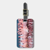 Étiquette À Bagage Grand Groupe De Petits Flamants roses (Devant Vertical)