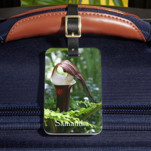 Étiquette À Bagage Grand Jack Dans La Fleur De Pulpit Personnalisé (Insitu Rectoal 2)