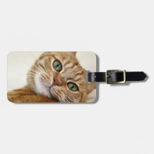 Étiquette À Bagage Grand Kitty orange