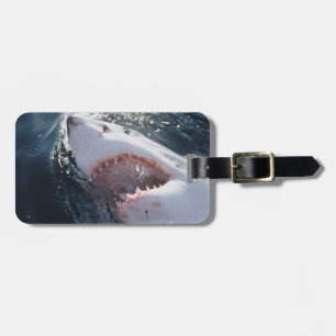 Étiquette À Bagage Grand requin blanc en mer