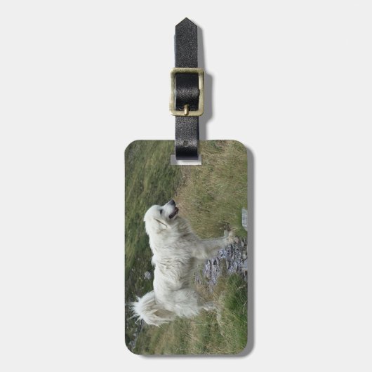 Étiquette À Bagage grande pyrénées plein (Devant Vertical)