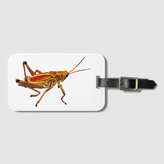 Étiquette À Bagage Grasshopper (Devant Horizontal)