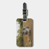 Étiquette À Bagage Gray Squirrel Hyde Park Londres. (Devant Vertical)