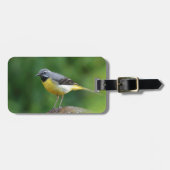 Étiquette À Bagage Gray Wagtail - oiseau (Devant horizontal)