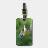 Étiquette À Bagage Gray Wagtail - oiseau (Devant Vertical)