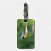 Étiquette À Bagage Gray Wagtail - oiseau (Dos Vertical)
