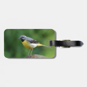 Étiquette À Bagage Gray Wagtail - oiseau