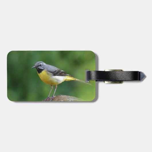 Étiquette À Bagage Gray Wagtail - oiseau (Dos horizontal)