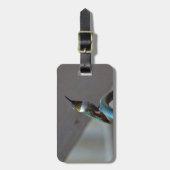 Étiquette À Bagage Green ruby little hummingbird (Devant Vertical)