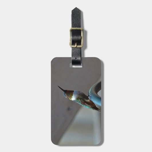 Étiquette À Bagage Green ruby little hummingbird (Devant Vertical)