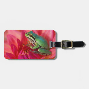 Étiquette À Bagage Grenouille du Pacifique sur des fleurs dans notre 