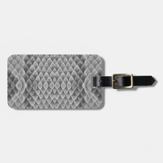 Étiquette À Bagage Grey Snakeskin (Devant horizontal)