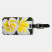 Étiquette À Bagage Gros plan de fleurs de la plumeria, Hawaï (Devant horizontal)