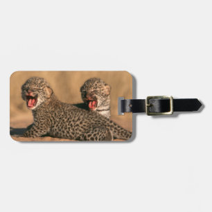 Étiquette À Bagage Gros plan d'un léopard nouveau-né (Panthera Pardus