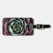 Étiquette À Bagage Gros plan sur une succulente violette (Devant horizontal)